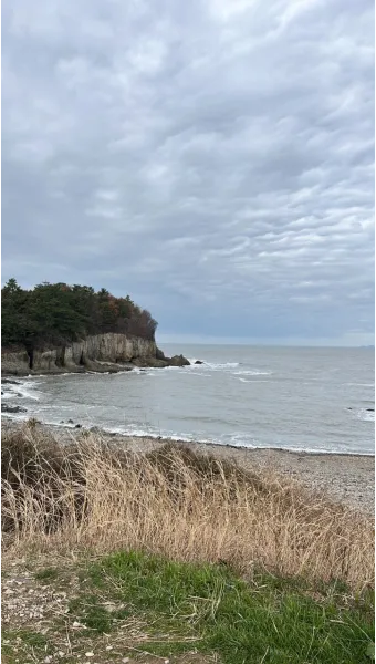 부안 맛집 베스트10 진짜 제대로된 현지 맛집_14