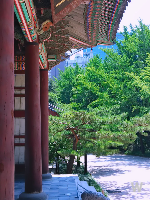 조선시대 왕 순서 13