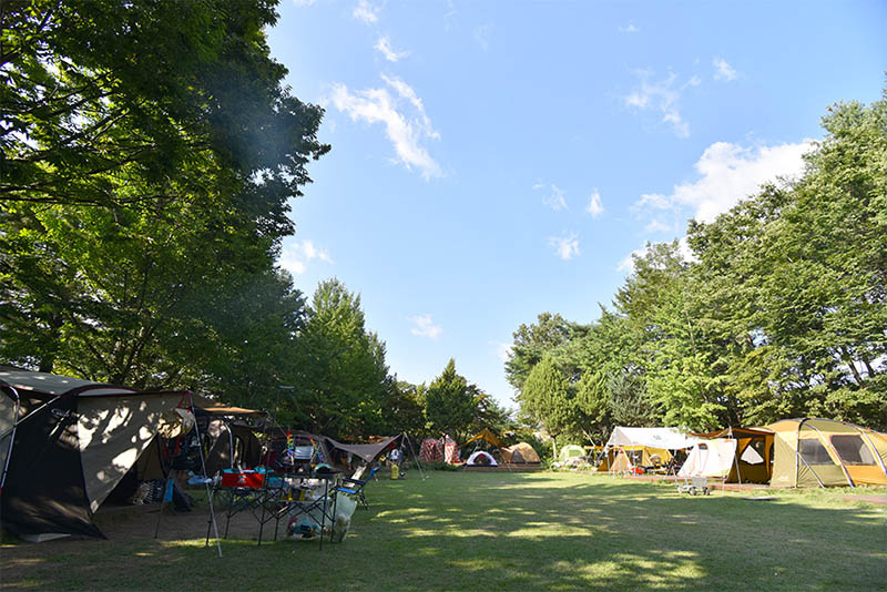 포천 캠프운악 캠핑장 소개