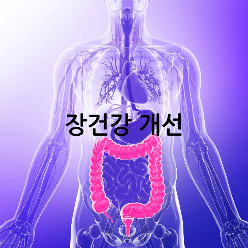 그릭요거트효능