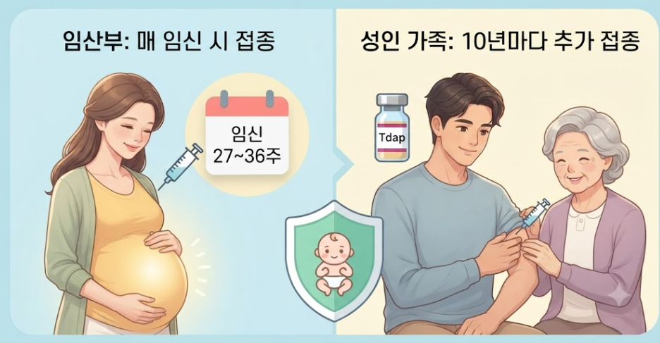 백일해예방접종시기