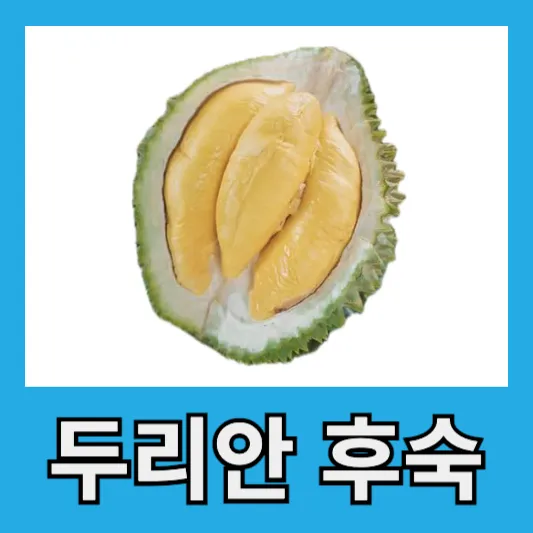 두리안 후숙 방법