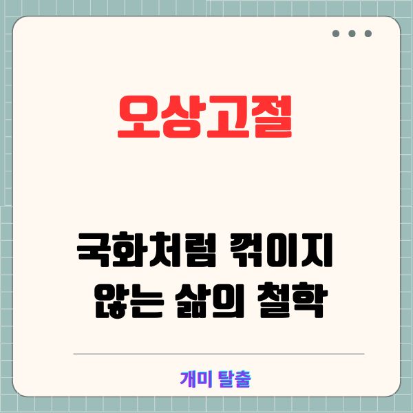 오상고절(傲霜孤節): 국화처럼 꺾이지 않는 삶의 철학