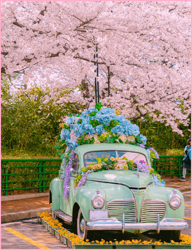 대구 이월드 민트 클래식카