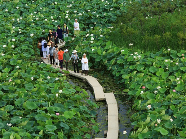 양평 가볼만한곳