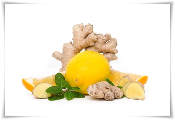 "10월 하순, 생강 수확 하세요!" 생강의 매력과 건강 효능, 최적의 수확시기! 생강의 효능과 활용!