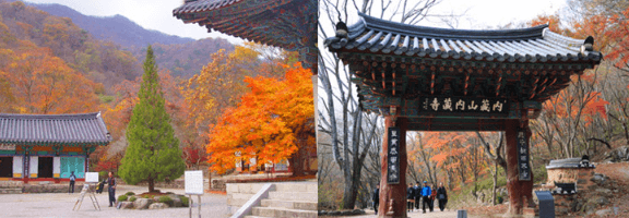 단풍여행 단풍트레킹 당일버스 여행