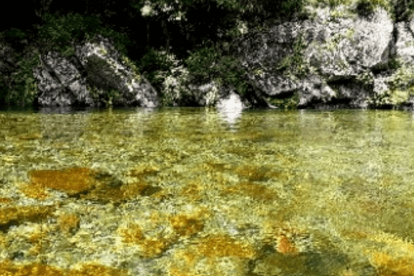 전라북도 숨은 계곡 추천 20곳 리스트