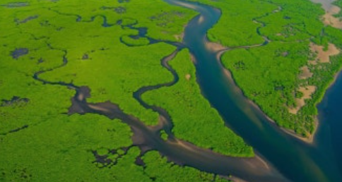 Aerial view of the Amazon River
