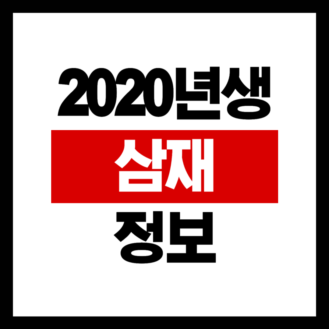 2020년생 삼재