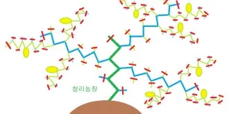 참외 순치기 순지르기 방법과 그림으로 쉽게 정리_10