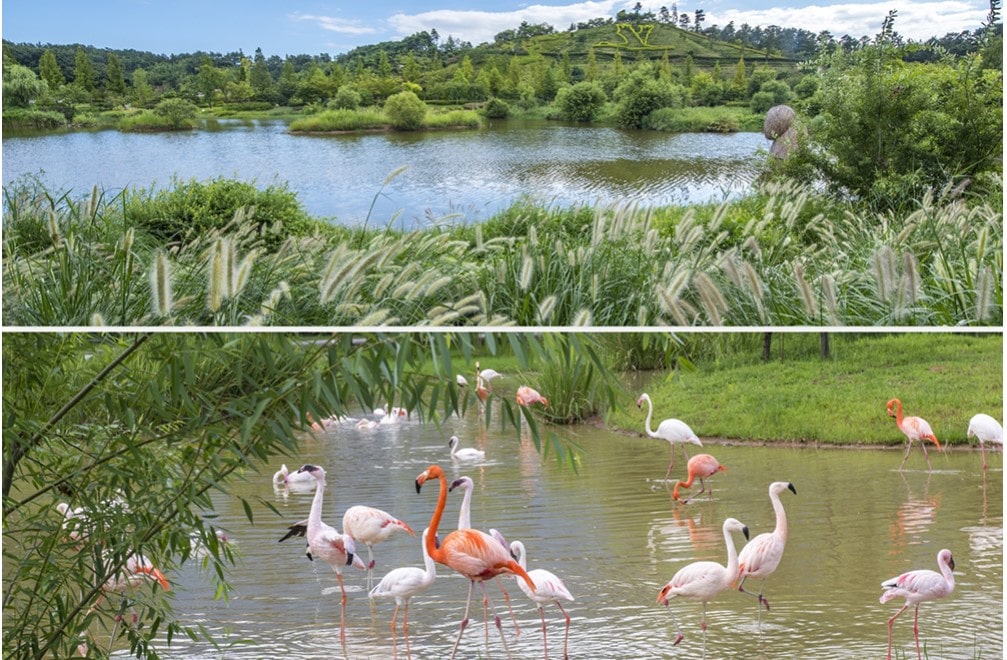 코레일 기차여행