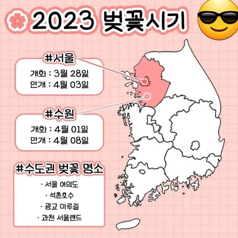 2023년 벚꽃 개화시기
