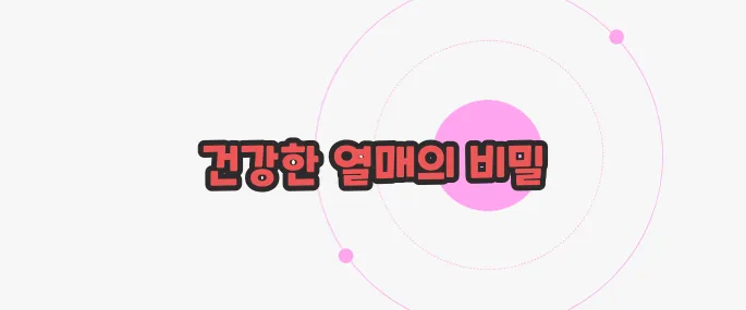 은행알 효능 무슨 내용인지 살펴보죠