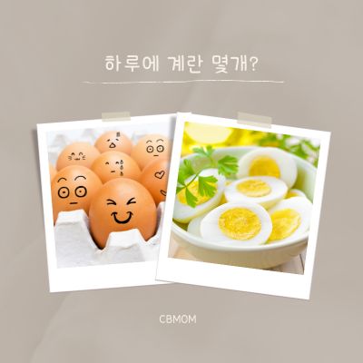 하루에 계란
