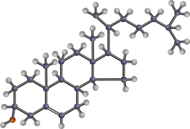 혈소판 수치가 높은이유