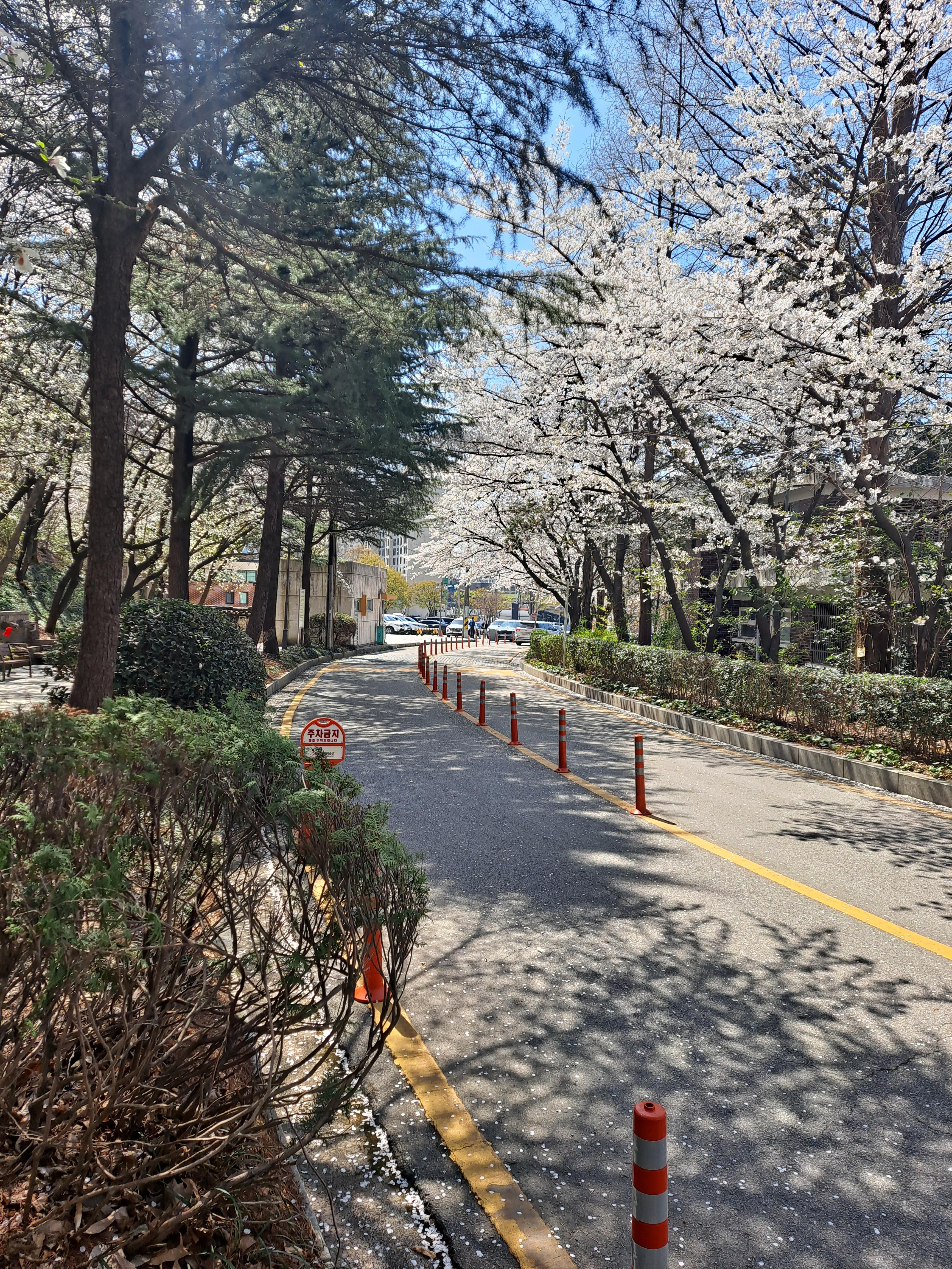 광주시립미술관진입로모습