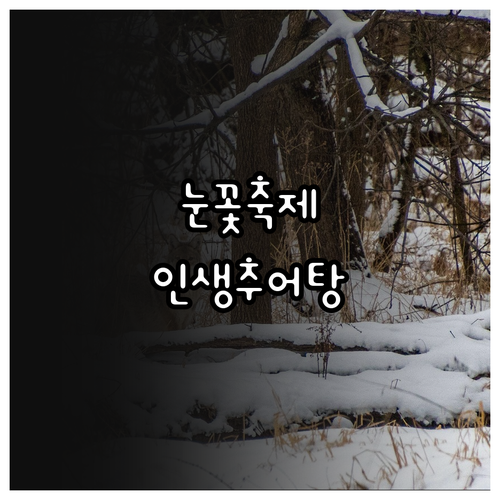 남원 1월 여행 정보 바래봉 눈꽃축제..