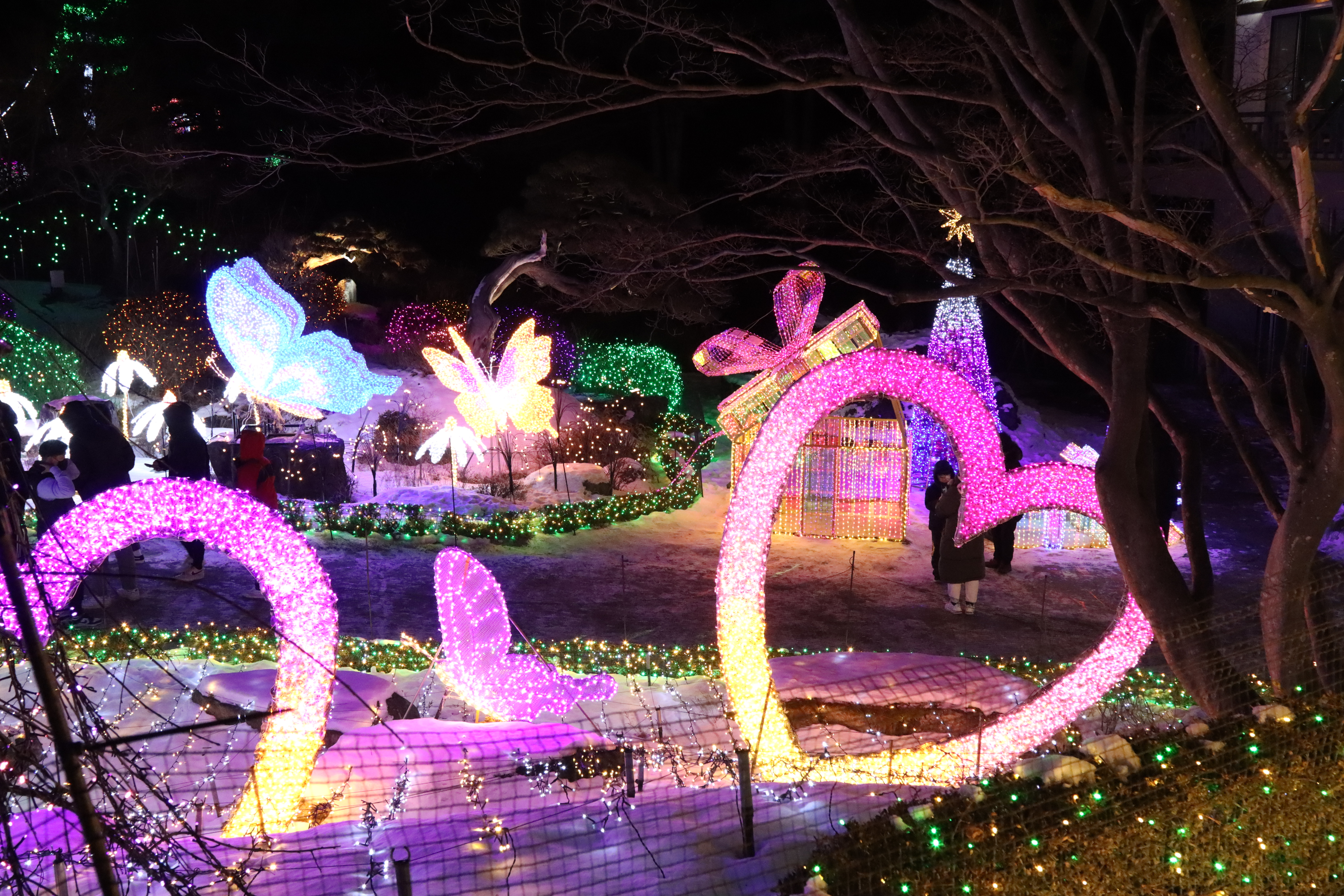 아침고요수목원