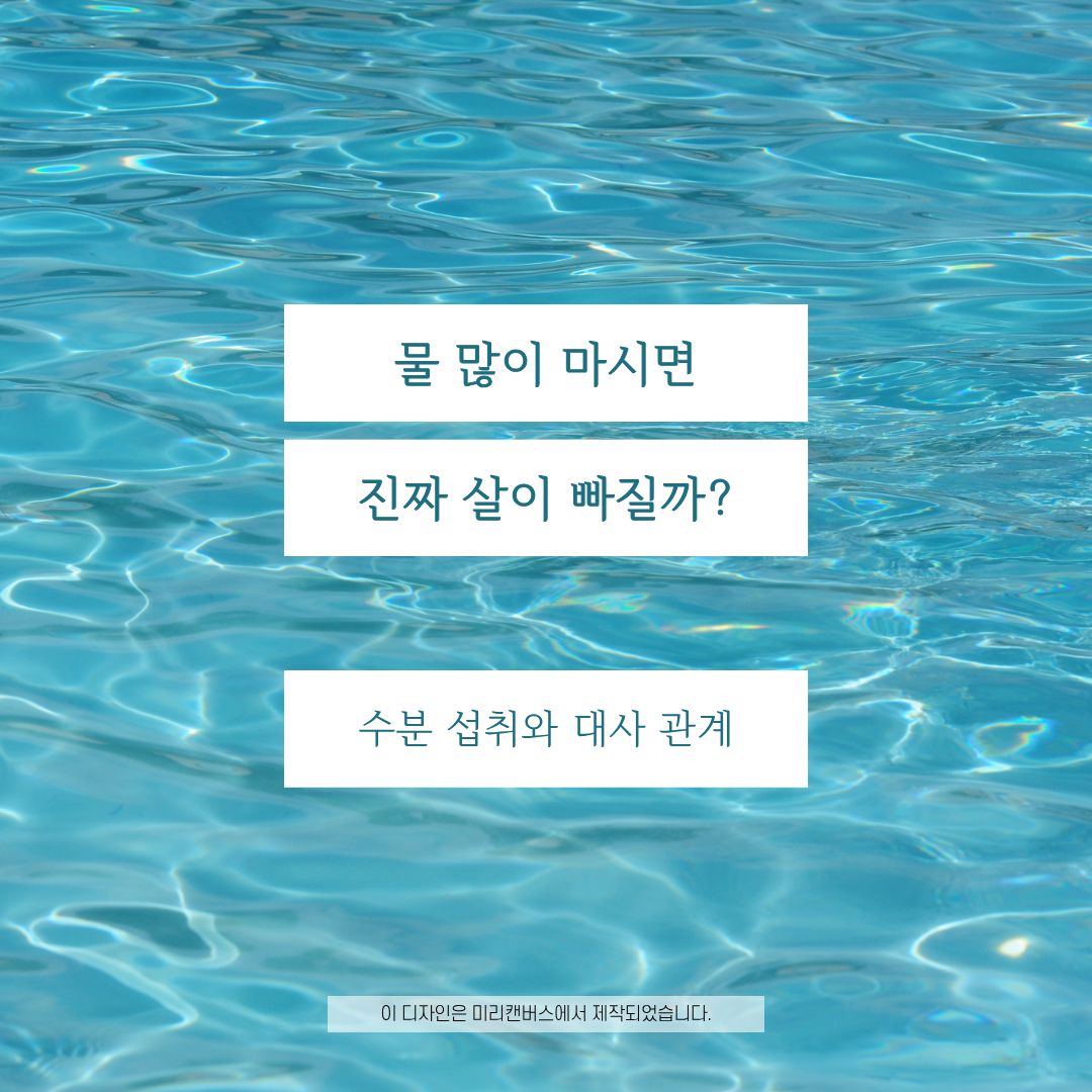 수분섭취 신진대사