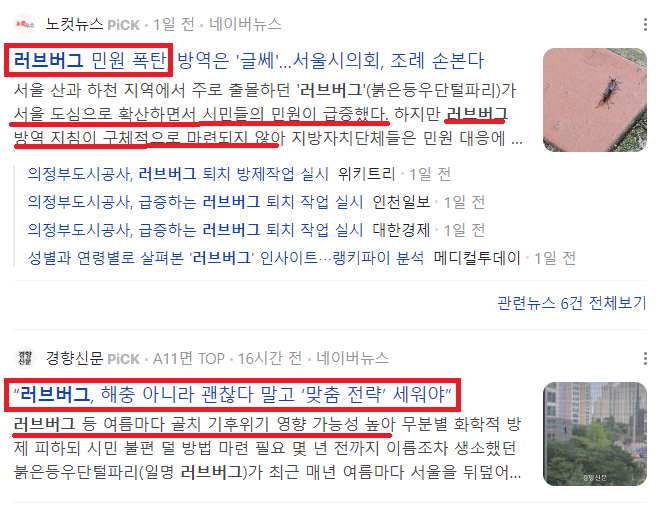 러브버그 관련 기사