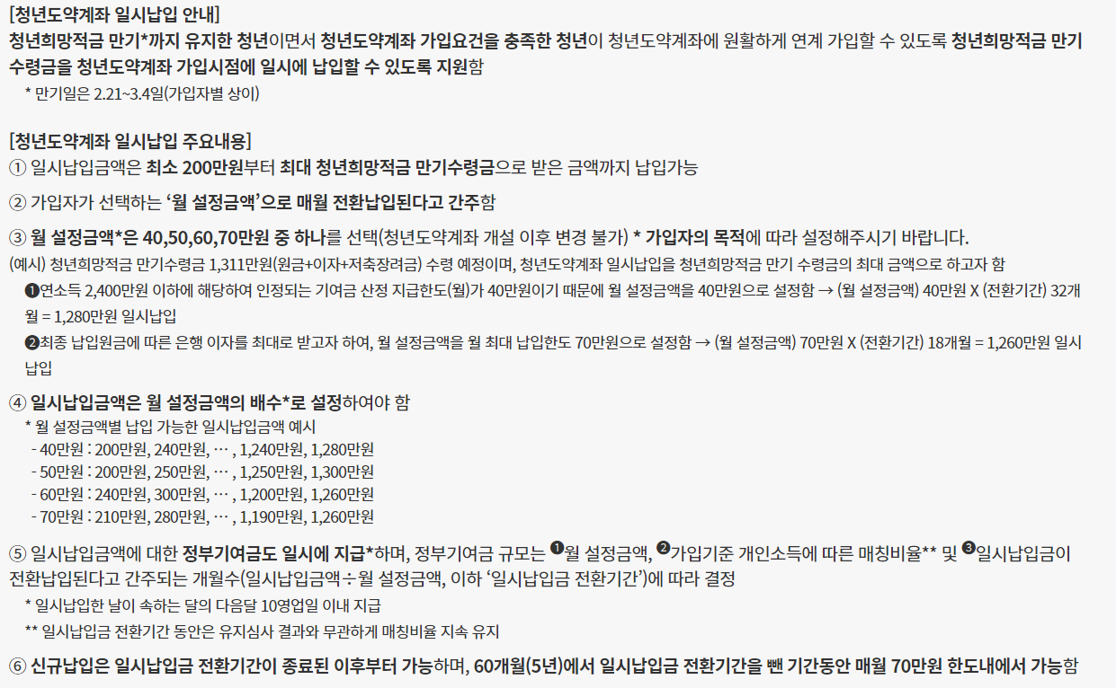 청년도약계좌 일시납입 안내