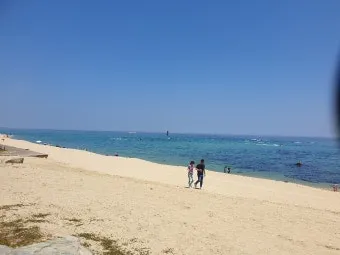 경포대 해변 산책 코스 바다전망 주차 근처 카페 추천_19