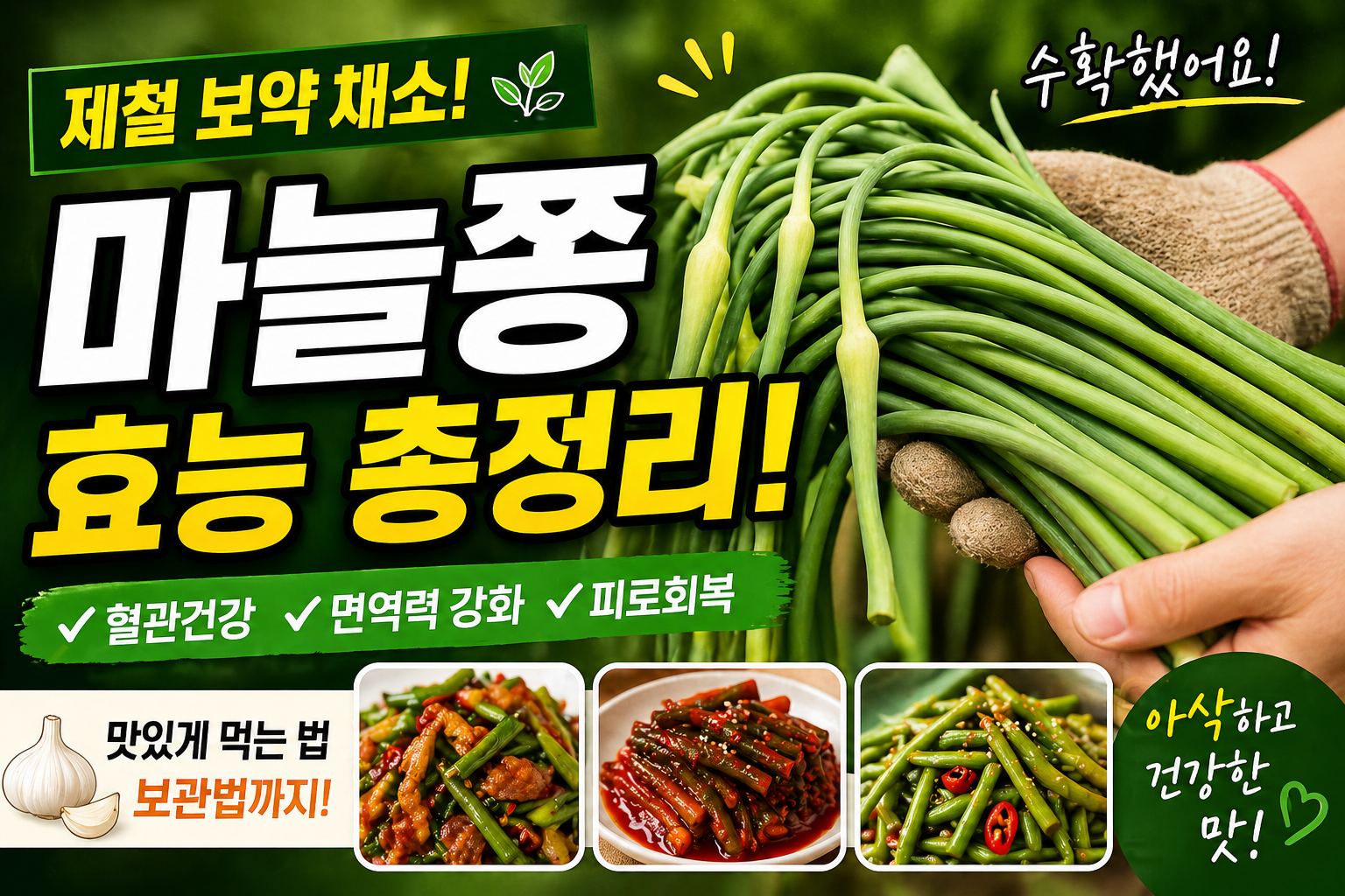 마늘쫑 효능 총정리 수확 후 바로 해야 할 것 (먹는법&middot;보관까지)