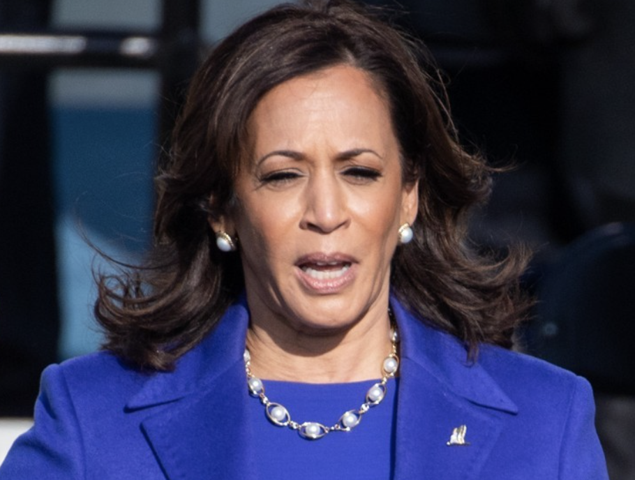 미국부통령 해리스