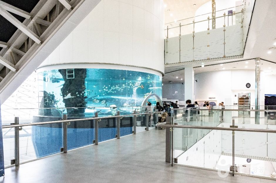 부산 국립해양박물관