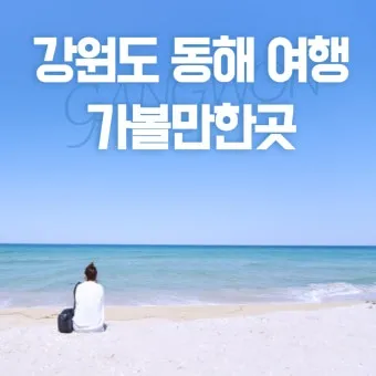 동해 가볼만한곳 맛집 추천 카페 봄 베스트 10_21