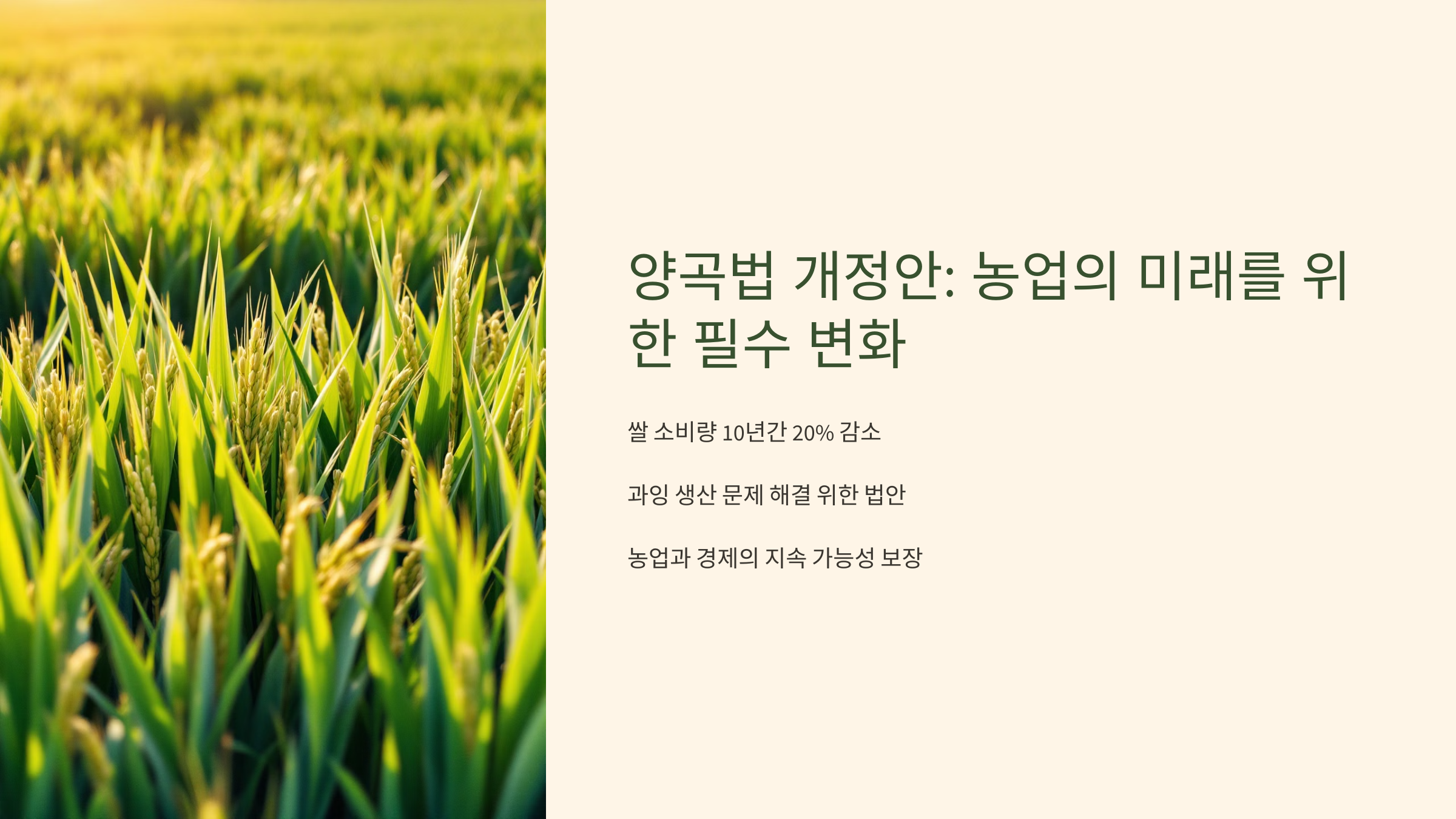 양곡법 개정안 농업의 미래를 위한 필수 변화