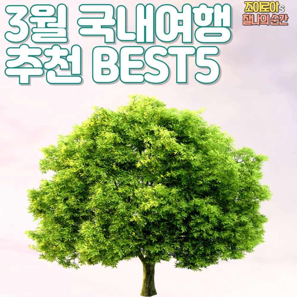 3월 국내여행 추천 BEST 5