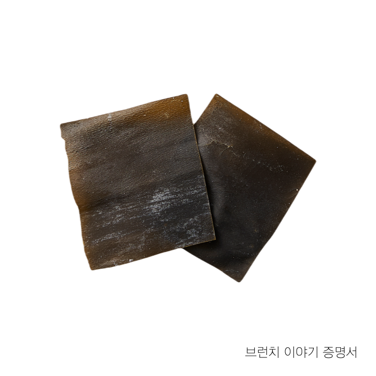 다시마