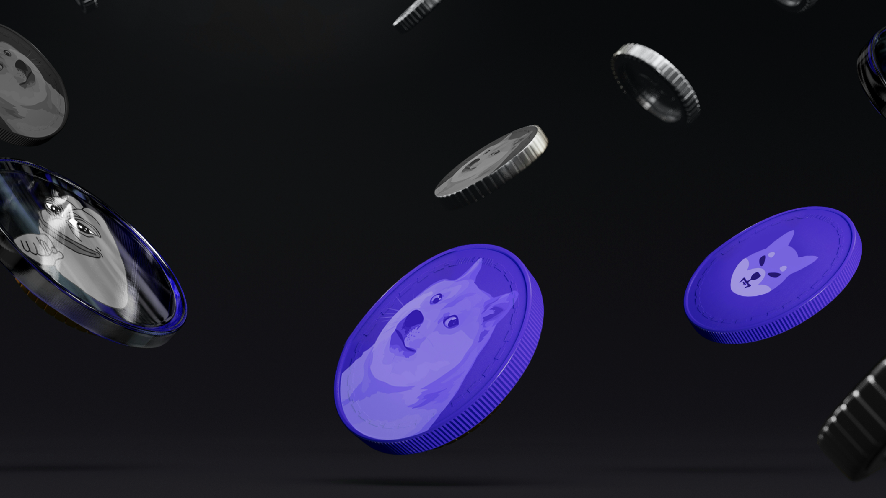 바이낸스 입금 & 출금