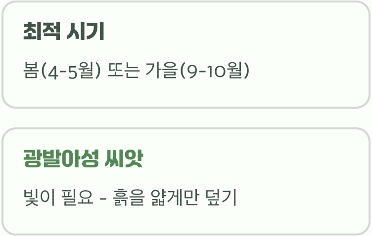 씨앗의 첫 숨결, 파종의 비밀