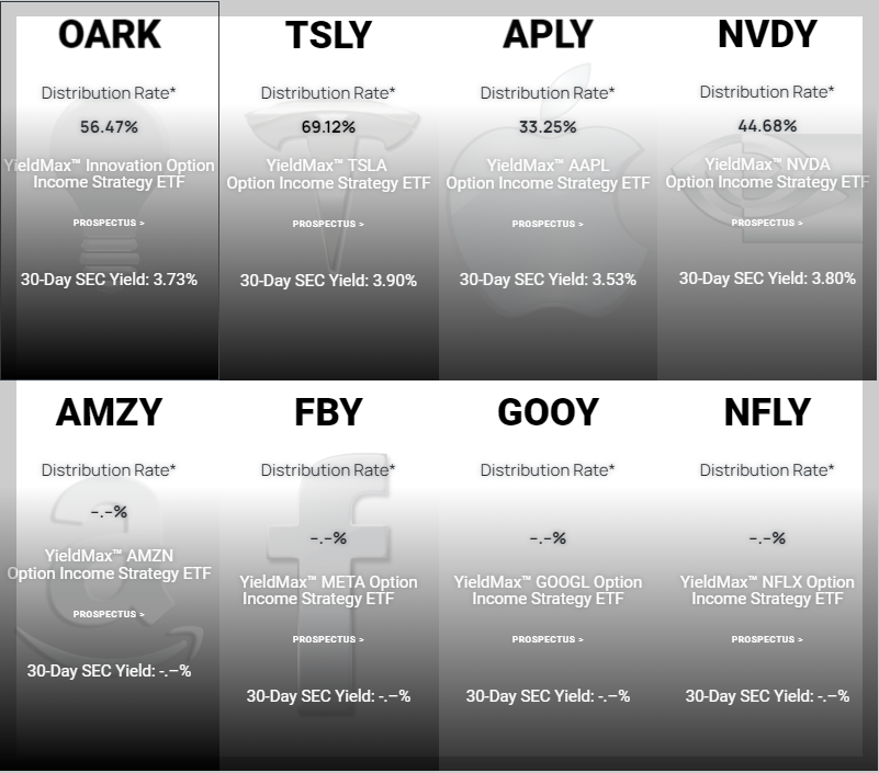 일드맥스사의 상품들