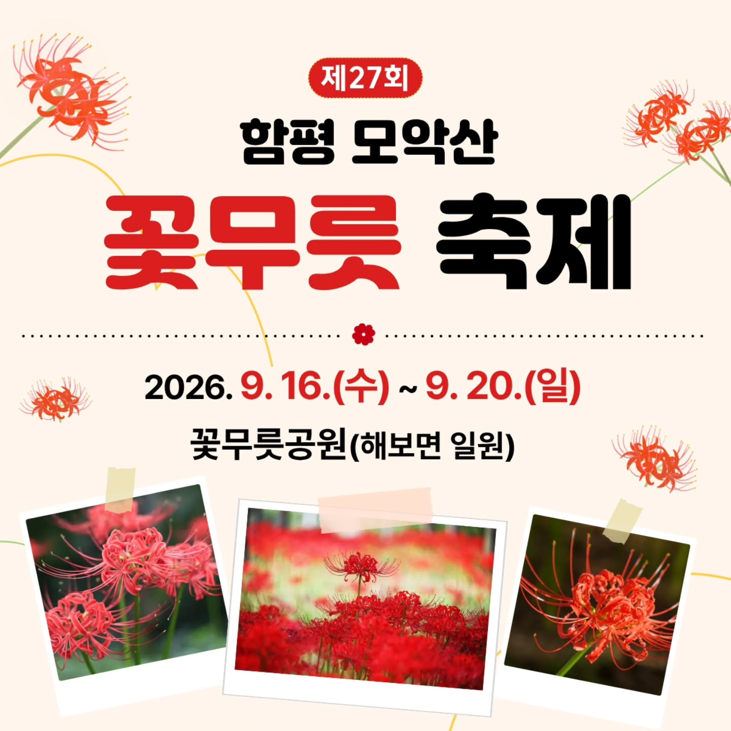 함평모악산 꽃무릇축제 살펴보기 2