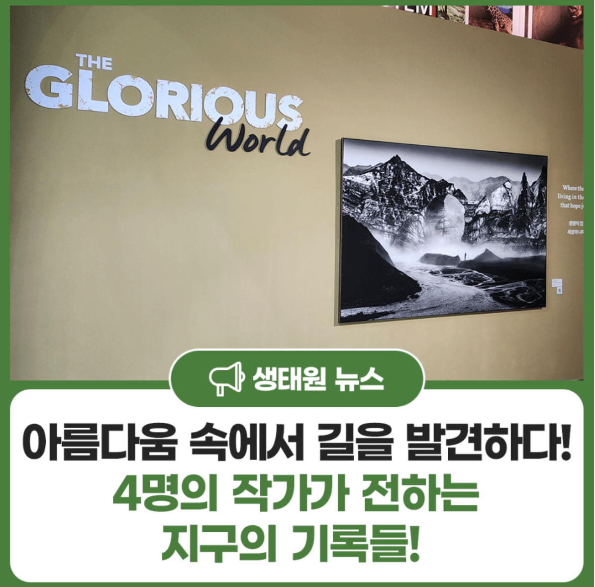 기후환경 사진 프로젝트