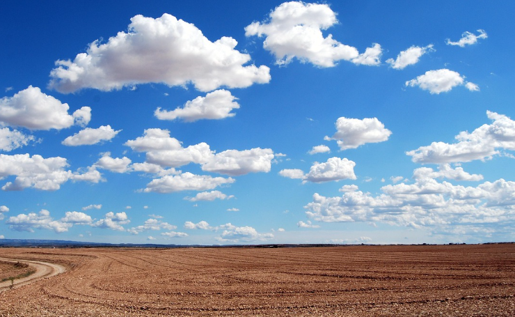 도시와 농촌의 사춘기 AI의 역할