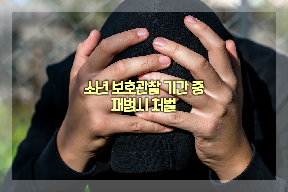 소년 보호관찰 기간 재범 처벌