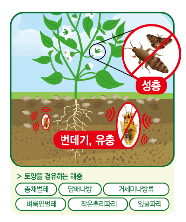 대유 총진싹 효능 및 살포 방법(유기농업자재)