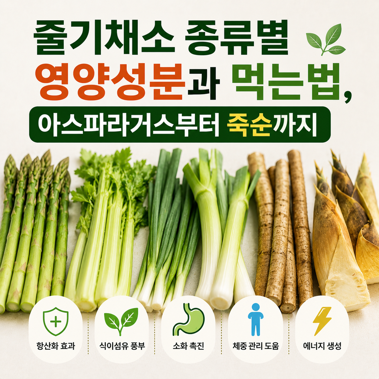 줄기채소 종류별 영양성분과 먹는법