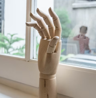 콘드로이친 효능 복용법 시간 부작용