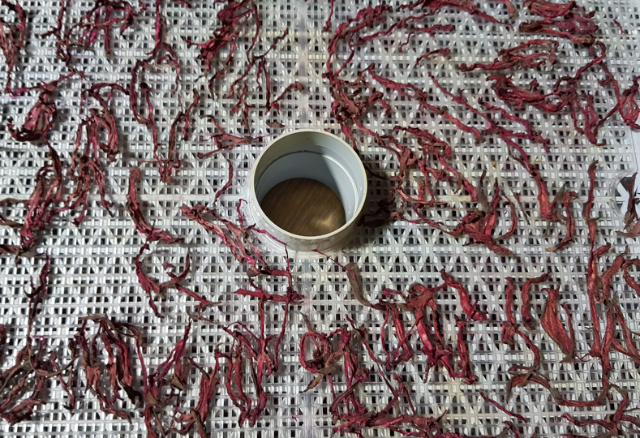 혈액순환 장애 다이어트에 좋은 레드 비트 차 만들기 효능 부작용