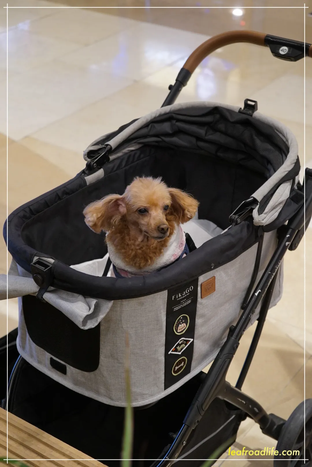 하남-스타필드-펫-유모차-대여-모습