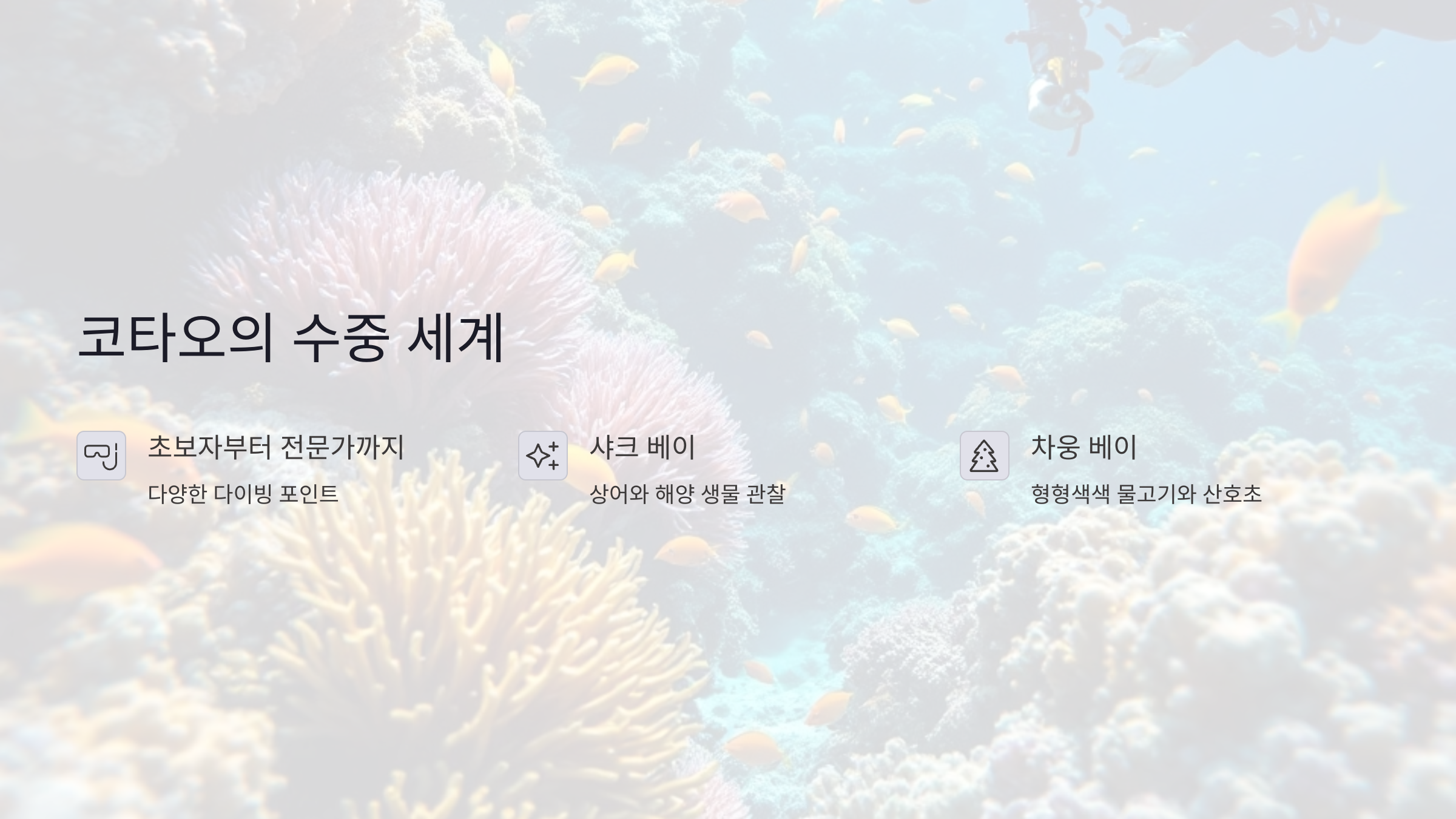 다이빙 명소: 코타오의 수중 세계