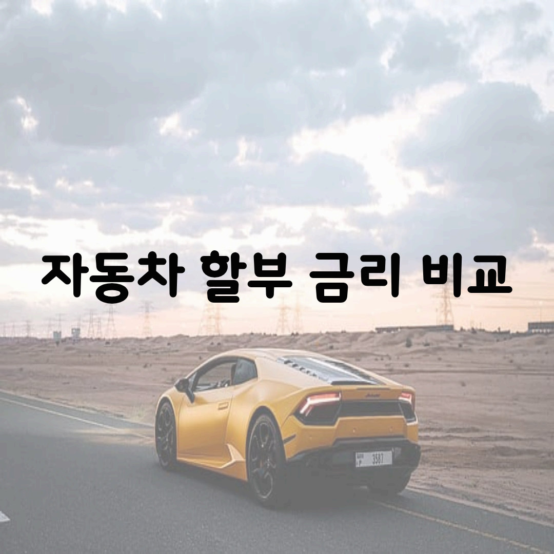 자동차 할부 금리 비교: 국산차 vs 수입차 월 납입금과 수수료까지 완벽 분석