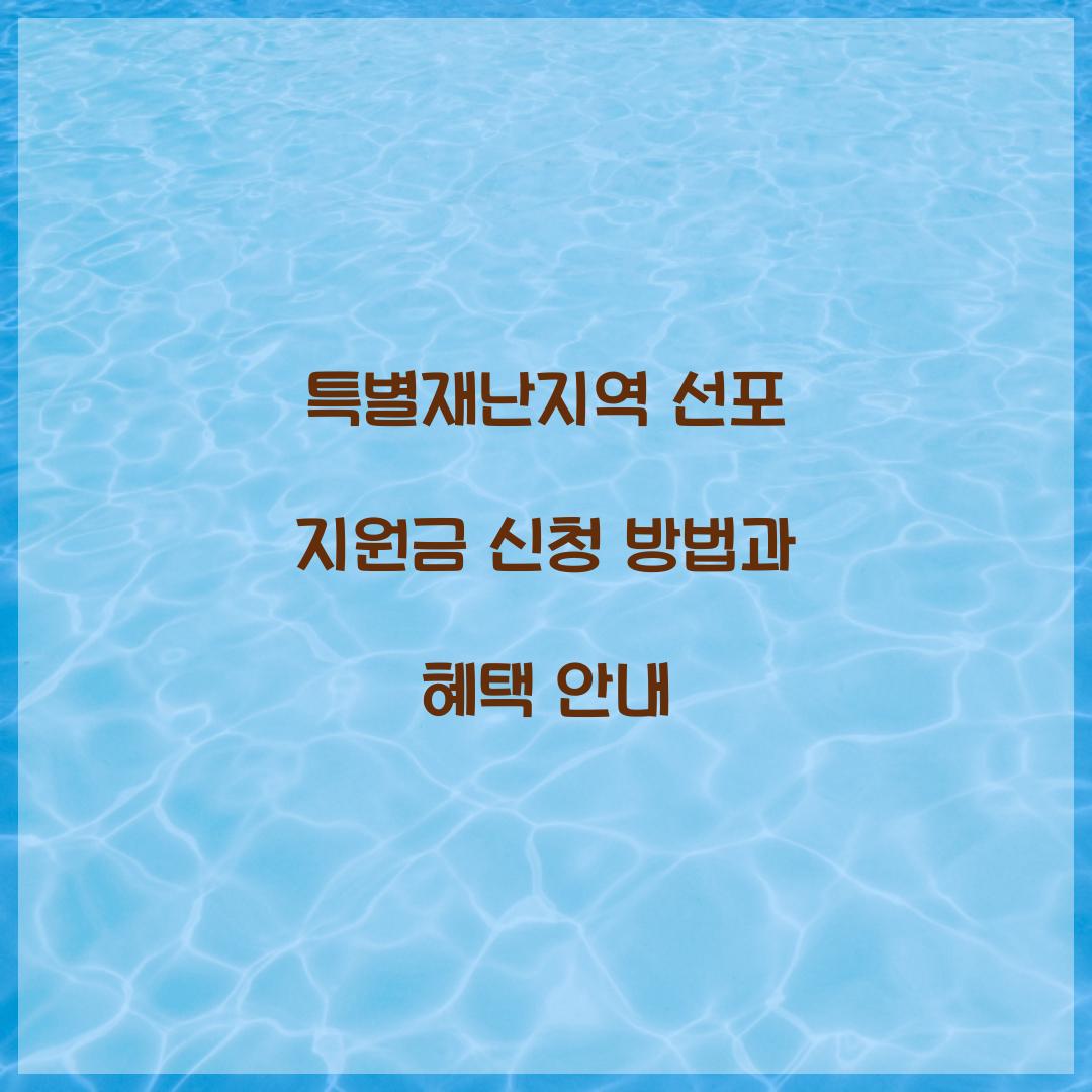 특별재난지역 선포