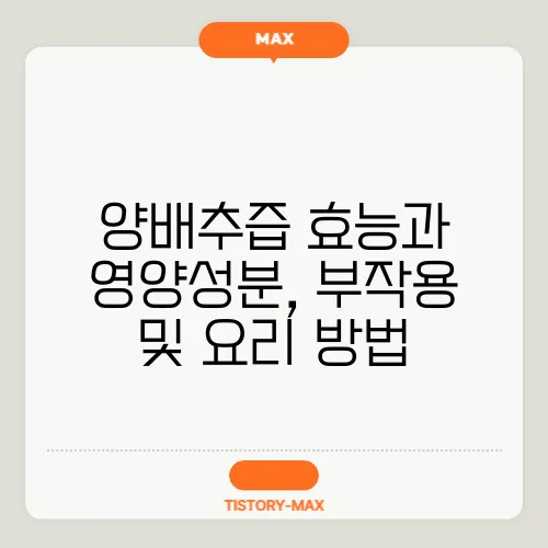 양배추즙 효능과 영양성분, 부작용 및 요리 방법